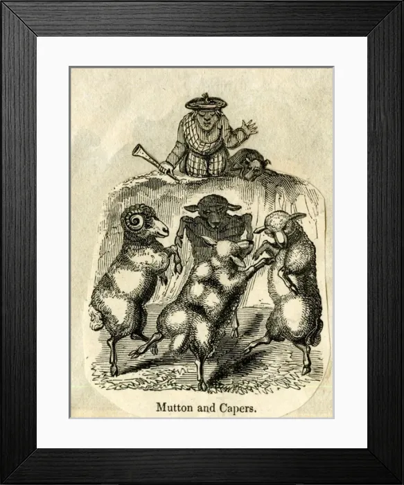Framed Print : Cartoon, Mutton and Capers Framed Print : Cartoon, Mutton and Capers