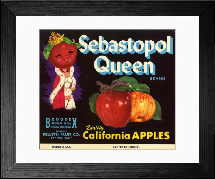 Framed Print : Label design, Sebastopol Queen Apples Framed Print : Label design, Sebastopol Queen Apples