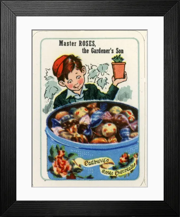 Framed Print : Cadburys Happy Families - Master Roses Framed Print : Cadburys Happy Families - Master Roses