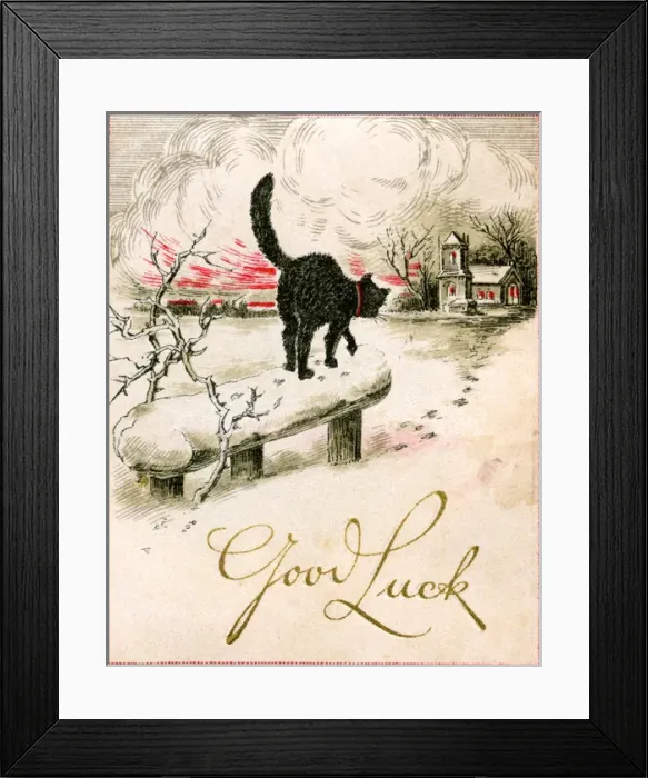 Framed Print : Good Luck Christmas card, cat in the snow Framed Print : Good Luck Christmas card, cat in the snow