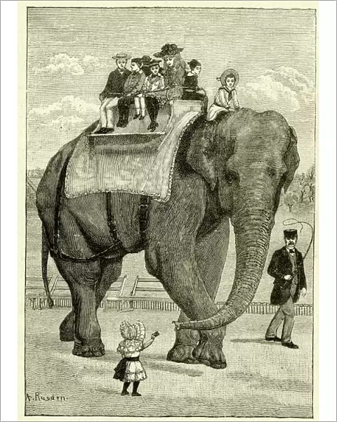 Jumbo the elephant giving a ride at the zoo
