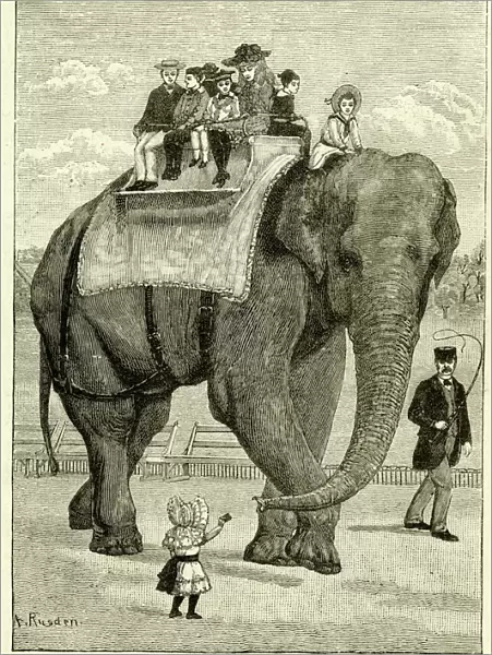 Jumbo the elephant giving a ride at the zoo