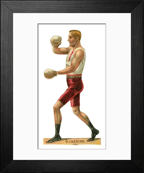 Framed Print : Victorian scrap - boxer guarding Framed Print : Victorian scrap - boxer guarding