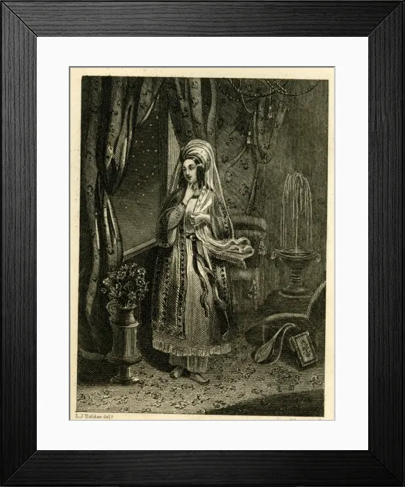 Framed Print : The Sultana Framed Print : The Sultana