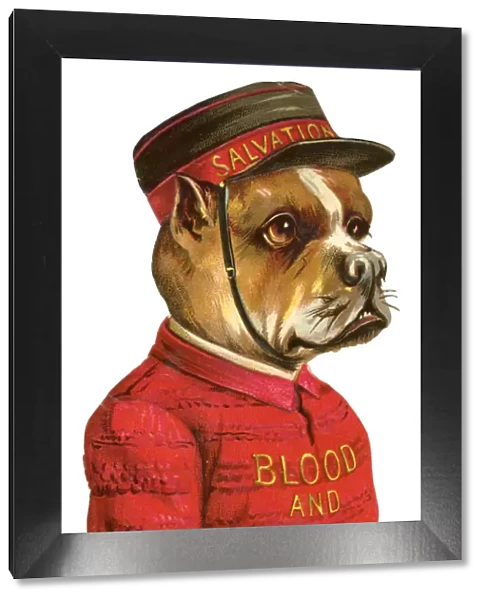 Victorian scrap - Salvation Army bulldog