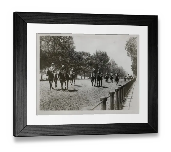 Framed Print : (insert)