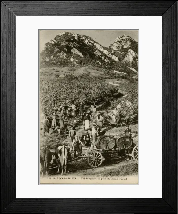 Framed Print : Salins-les-Bains - Grape Harvest at the foot of Mount Poupet Framed Print : Salins-les-Bains - Grape Harvest at the foot of Mount Poupet