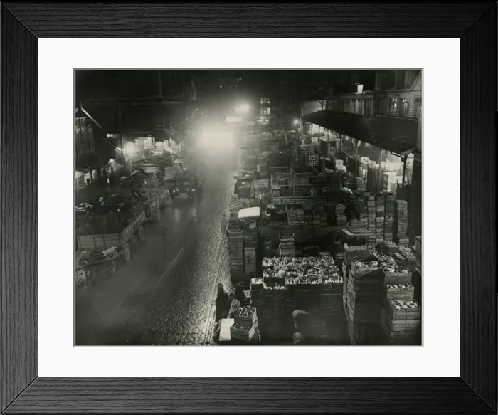 Framed Print : (insert) Framed Print : (insert)