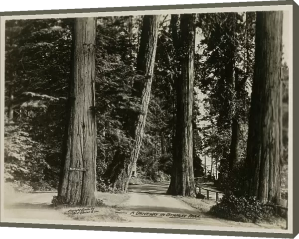Vancouver, Canada - A Driveway in Stanley Park
