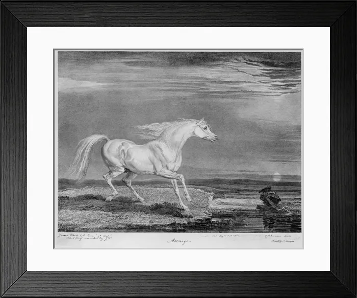 Framed Print : ?Marengo?, the favourite charger of Napoleon I, 1815