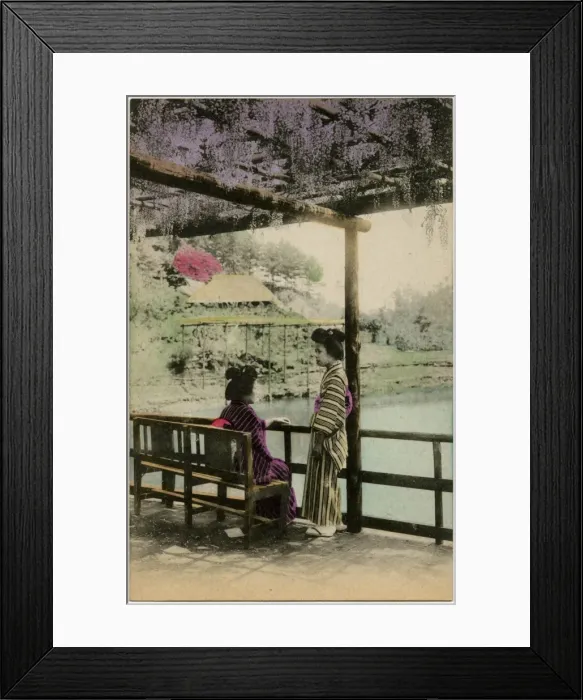 Framed Print : Two Japanese Geisha girls beneath the Wisteria - Japan Framed Print : Two Japanese Geisha girls beneath the Wisteria - Japan