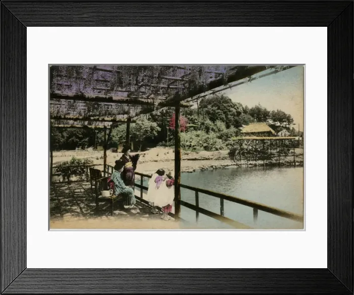 Framed Print : Two Japanese Geisha girls beneath the Wisteria - Japan Framed Print : Two Japanese Geisha girls beneath the Wisteria - Japan