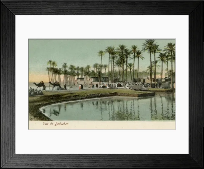 Framed Print : Oasis in Egypt Framed Print : Oasis in Egypt