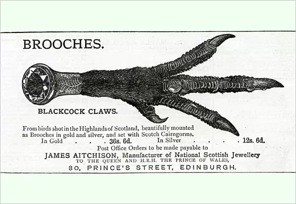 Advert for James Aitchison brooches 1883