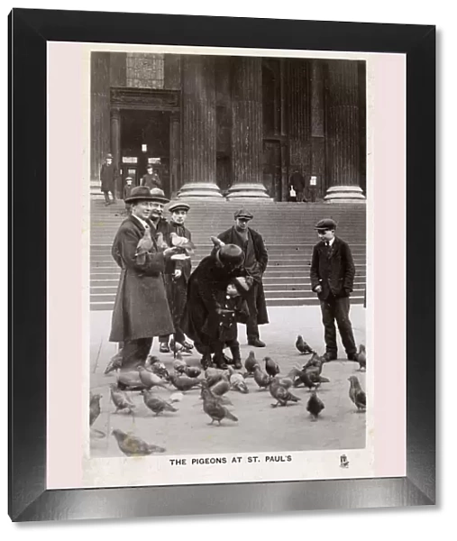 Feeding the Pigeons on steps of St. Pauls Cathedral, London