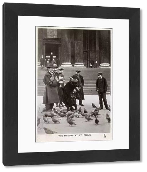 Feeding the Pigeons on steps of St. Pauls Cathedral, London