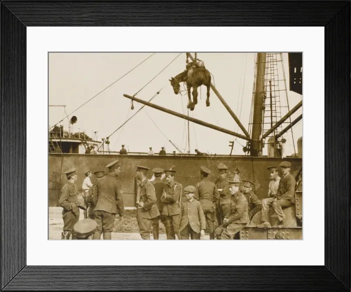 Framed Print : Loading horses at Boulogne Framed Print : Loading horses at Boulogne