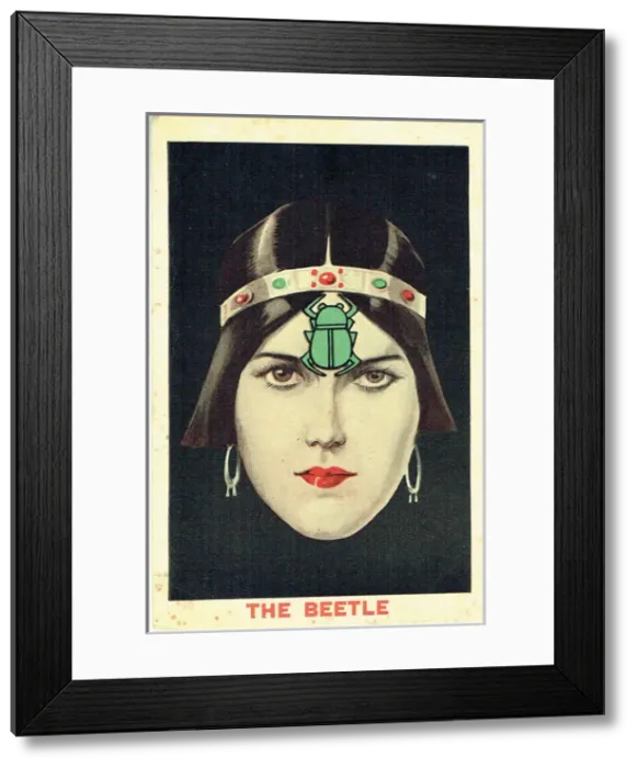 Framed Print : The Beetle, by Fagan, Freeman and King Framed Print : The Beetle, by Fagan, Freeman and King