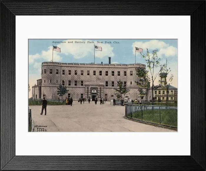 Framed Print : Aquarium and Battery Park, New York City, USA Framed Print : Aquarium and Battery Park, New York City, USA
