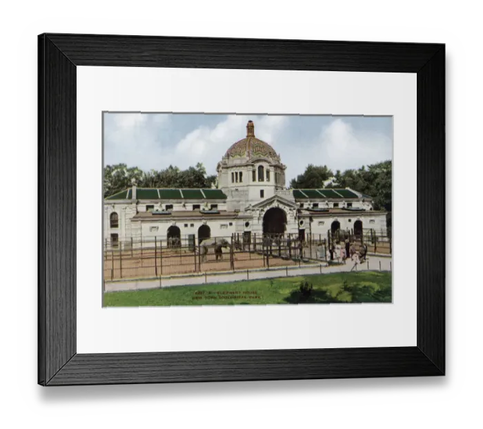 Framed Print : Elephant House in the New York Zoological Park Framed Print : Elephant House in the New York Zoological Park