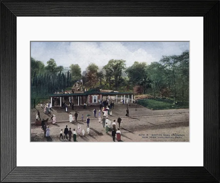 Framed Print : Boston Road entrance from the New York Zoological Park Framed Print : Boston Road entrance from the New York Zoological Park