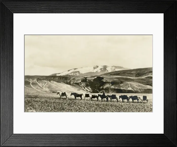 Framed Print : Hekla (volcano) and a pony train, Iceland Framed Print : Hekla (volcano) and a pony train, Iceland