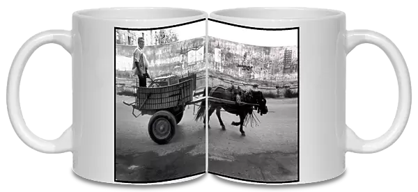 Man in horse drawn cart, Valencia, Spain