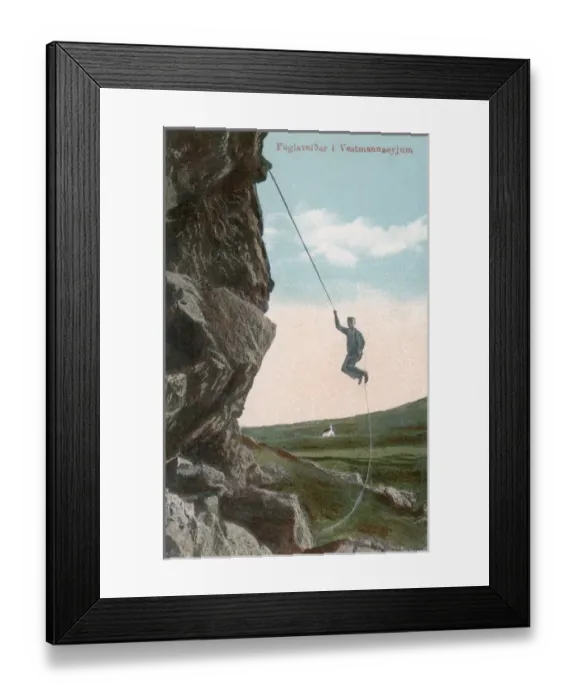 Framed Print : Cliff hunting man in Westman Islands, Iceland Framed Print : Cliff hunting man in Westman Islands, Iceland