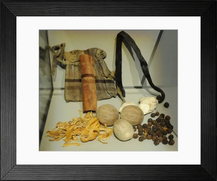 Framed Print : Herbs and spices used in food in the Middle Ages Framed Print : Herbs and spices used in food in the Middle Ages