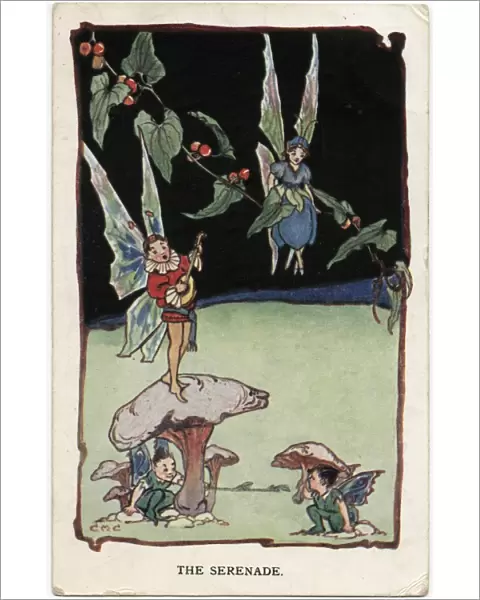 A Fairy Serenade - Fairy Troubadour atop a mushroom
