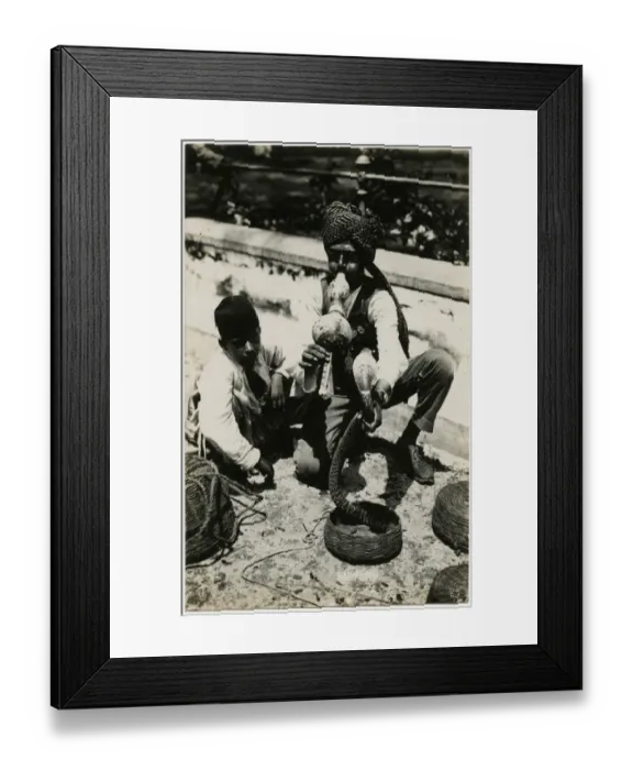 Framed Print : Indian Snake Carmer - Singapore, Malaysia Framed Print : Indian Snake Carmer - Singapore, Malaysia