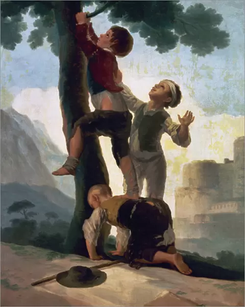 Boys Climbing a Tree, 1791-1792, by Francisco de Goya