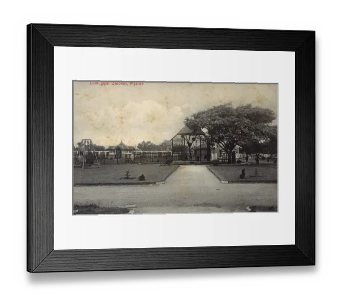 Framed Print : Zoological Gardens, Mysore, Karnataka, India Framed Print : Zoological Gardens, Mysore, Karnataka, India