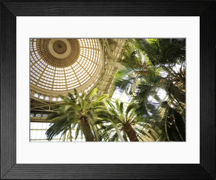 Framed Print : Ny Carlsberg Glyptotek. Copenhagen. Inside Framed Print : Ny Carlsberg Glyptotek. Copenhagen. Inside