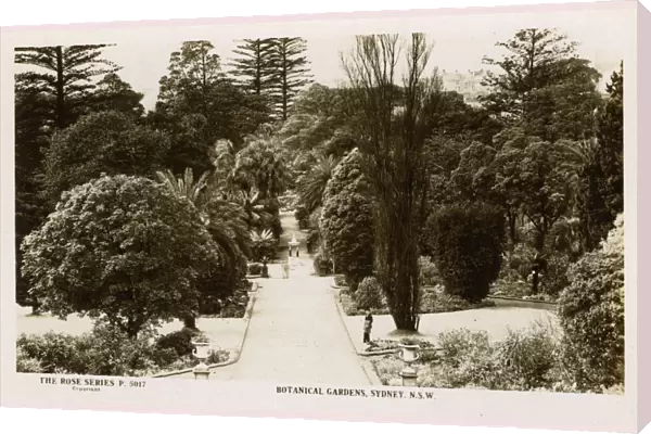 Botanical Gardens, Sydney, New South Wales, Australia