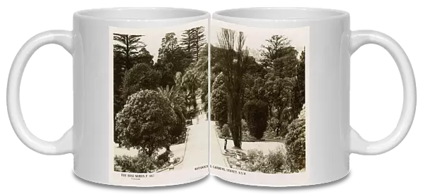 Botanical Gardens, Sydney, New South Wales, Australia