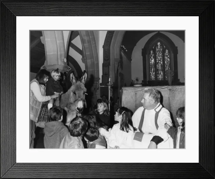 Framed Print : Palm Sunday service with donkey, St Ives, Cornwall Framed Print : Palm Sunday service with donkey, St Ives, Cornwall