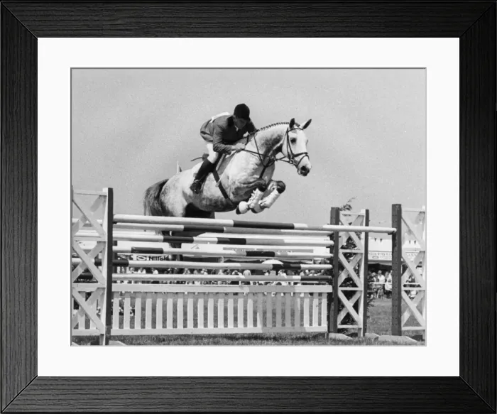 Framed Print : David Broom in show jumping event, Royal Cornwall Show Framed Print : David Broom in show jumping event, Royal Cornwall Show