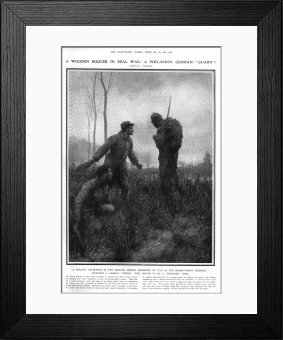 Framed Print : A pollarded German Guard : trees as a soldier, 1916 Framed Print : A pollarded German Guard : trees as a soldier, 1916