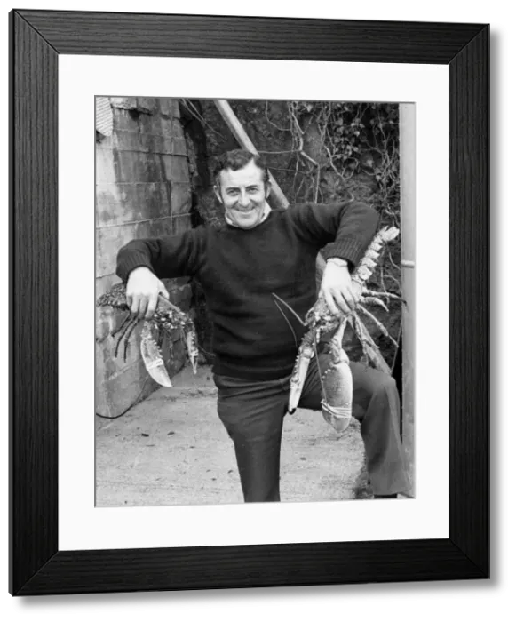 Framed Print : Man holding two large lobsters Framed Print : Man holding two large lobsters