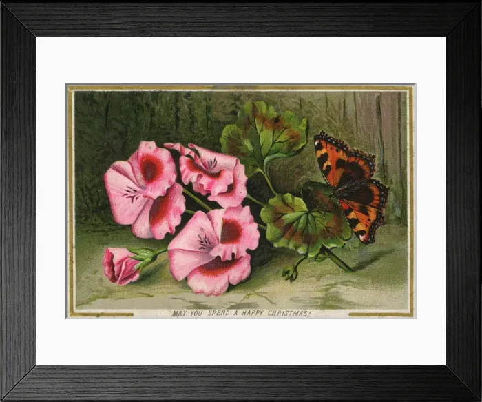 Framed Print : Christmas Greetings postcard with Tortoiseshell butterfly Framed Print : Christmas Greetings postcard with Tortoiseshell butterfly