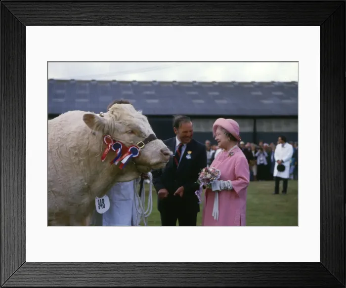 Framed Print : Queen Mother at the Royal Cornwall Show, Wadebridge Framed Print : Queen Mother at the Royal Cornwall Show, Wadebridge
