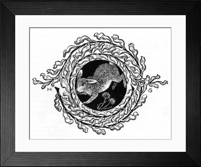 Framed Print : Decorative hare Framed Print : Decorative hare