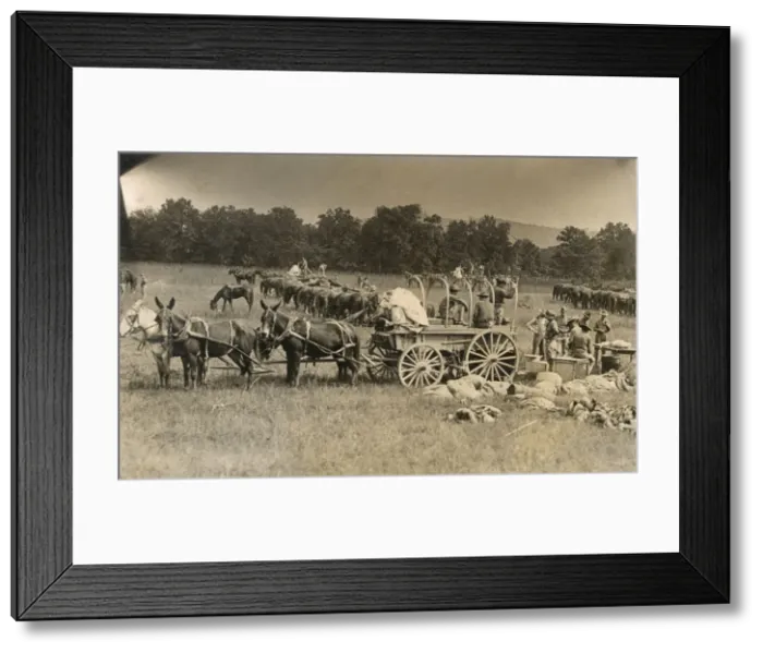 Framed Print : American cavalry soldiers in field, USA Framed Print : American cavalry soldiers in field, USA