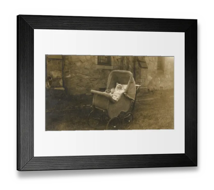 Framed Print : Baby in a wickerwork pram, Delaware, USA Framed Print : Baby in a wickerwork pram, Delaware, USA