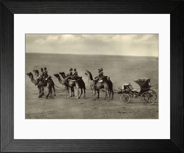 Framed Print : Camel carriage, Bikaner, Thar Desert, Rajasthan, India Framed Print : Camel carriage, Bikaner, Thar Desert, Rajasthan, India