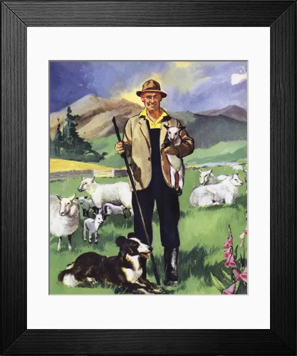 Framed Print : Picture No. 11121558 Framed Print : Picture No. 11121558