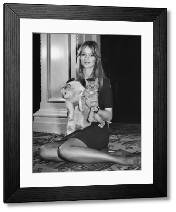 Framed Print : Young woman holding two cats Framed Print : Young woman holding two cats