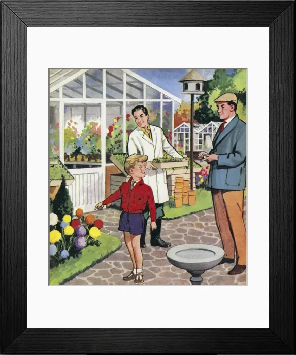 Framed Print : Picture No. 11121630 Framed Print : Picture No. 11121630