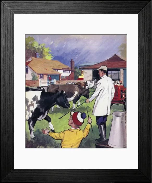 Framed Print : Picture No. 11121632 Framed Print : Picture No. 11121632